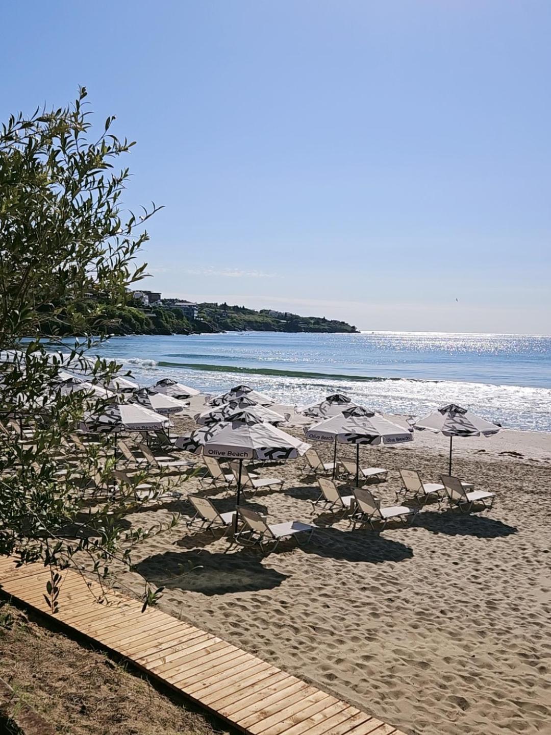 Olive Villas Beach Hotel 소조폴 외부 사진