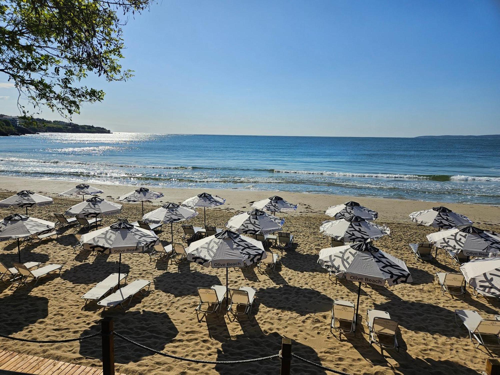 Olive Villas Beach Hotel 소조폴 외부 사진
